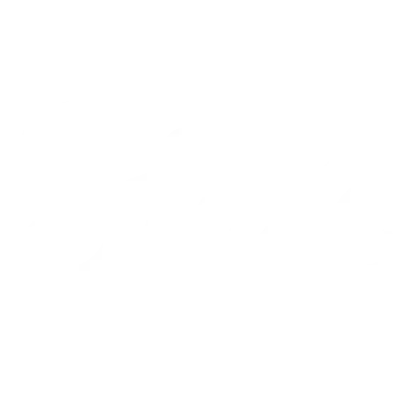 Stake